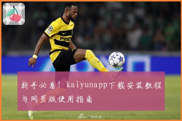 新手必看！kaiyunapp下载安装教程与网页版使用指南