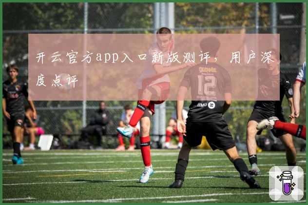 开云官方app入口新版测评,用户深度点评