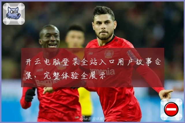开云电脑登录全站入口用户故事合集，完整体验全展示